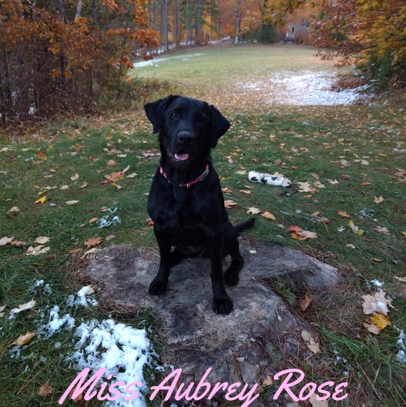 Meet your Posher, Kathy - Picture 3 of 3